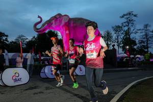 BIB: 
                            <button type="button" onclick="openModal(26529763)" class="btn btn-primary btn-sm float-right btn-popup" data-toggle="modal" data-target=".modal-high-quality">
                        <i class="fas fa-shopping-cart"></i> Add to Cart
                    </button>
                                            <button type="button" onclick="isThisMe(26529763, true)" class="btn btn-success btn-sm float-right btn-popup btn-isme hidden" data-toggle="tooltip" data-placement="bottom" title="นี่คือรูปของคุณใช่ไหม คลิกที่นี่เพื่อเอาเข้าอัลบั้ม">
                        <i class="fas fa-plus"></i> Add to album
                    </button>
                    <button type="button" onclick="isThisMe(26529763, false)" class="btn btn-warning btn-sm float-right btn-popup btn-isnotme hidden">
                        <i class="fas fa-ban"></i> Remove from album
                    </button>